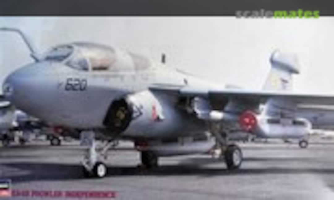 1:72 EA-6B Prowler `Independence´ (Hasegawa 04068)