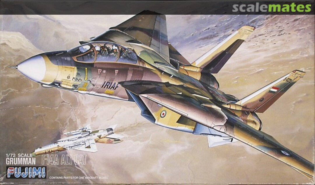 Boxart Grumman F-14A Ali-Cat 28005 Fujimi