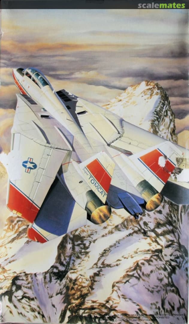 Boxart Grumman F-14D Super Tomcat 35116 Fujimi