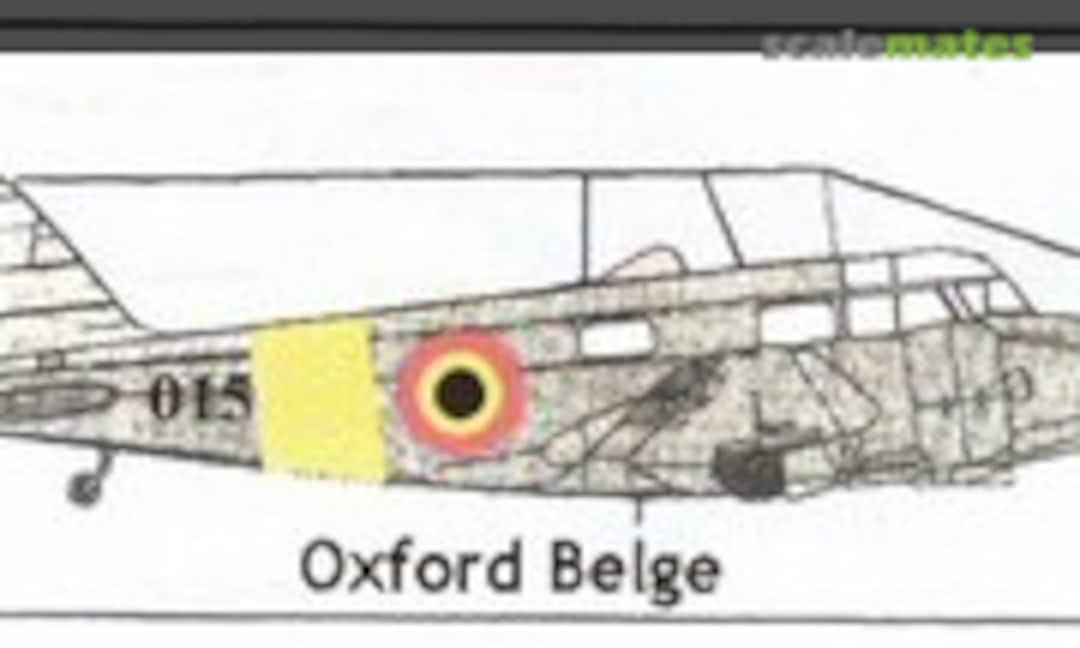 Belgian Oxford (VAMI Models )