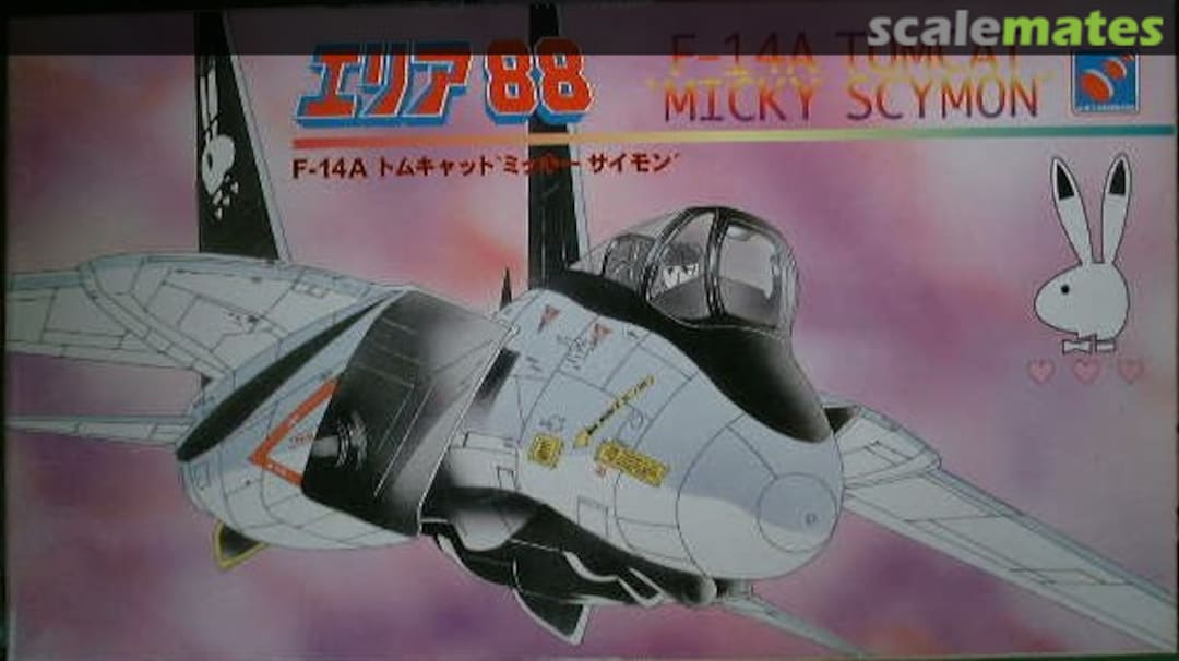 Boxart F-14A Tomcat Micky Scymon 65413 Hasegawa