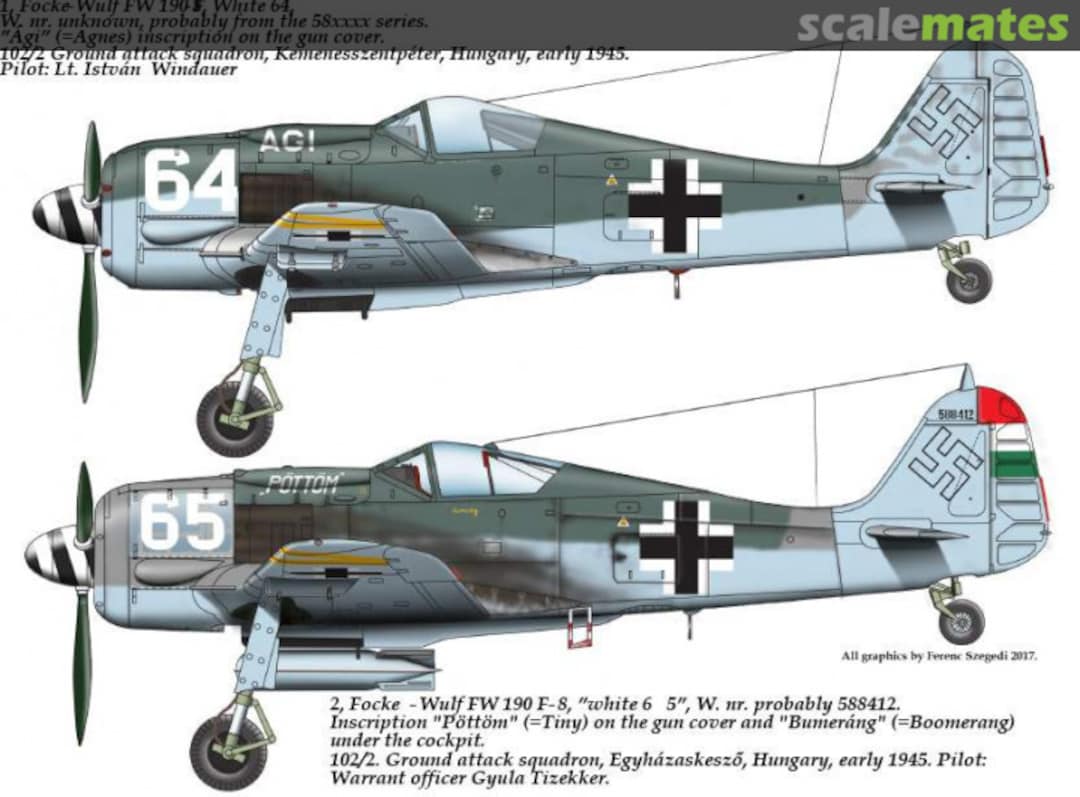 Boxart Focke-Wulf FW-190 F-8 72178 HADmodels 