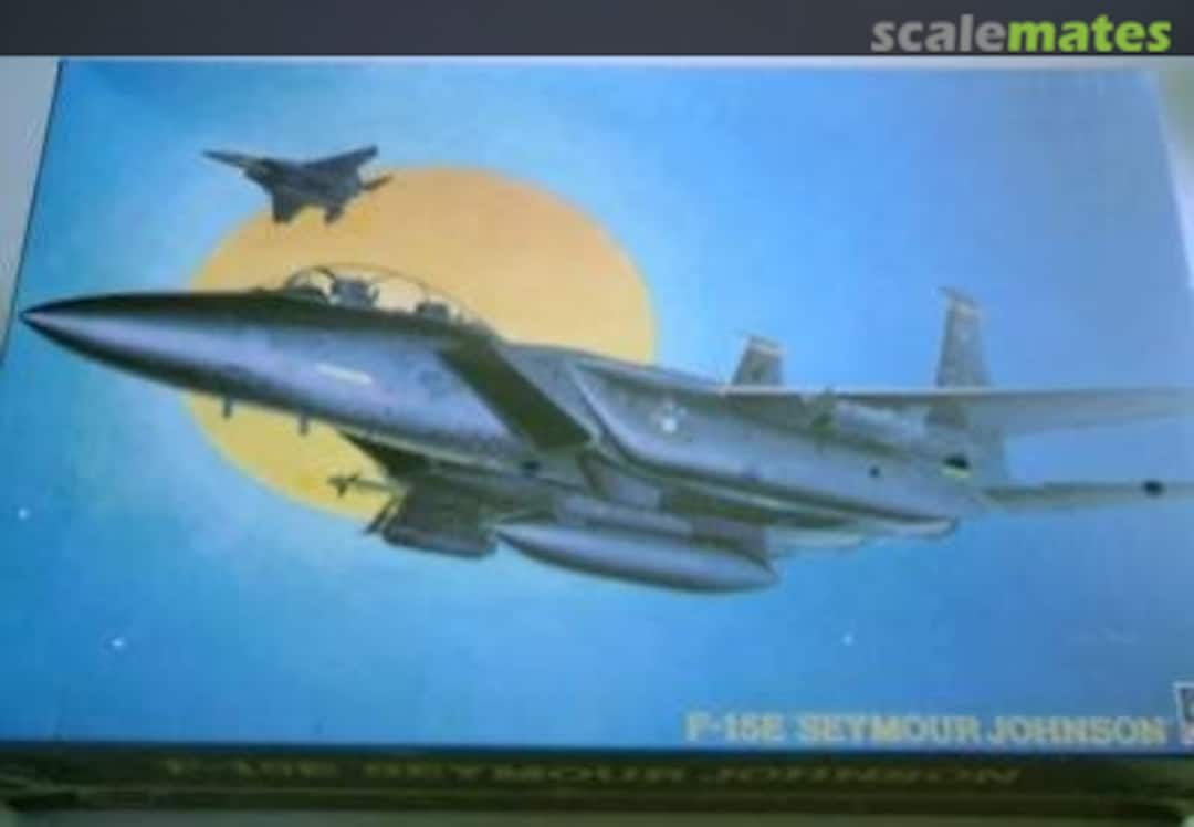 Boxart F-15E `Seymour Johnson´ 07022 Hasegawa