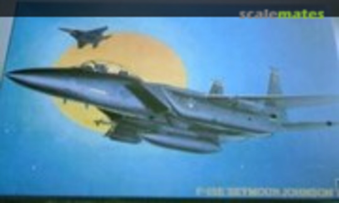 1:48 F-15E `Seymour Johnson´ (Hasegawa 07022)