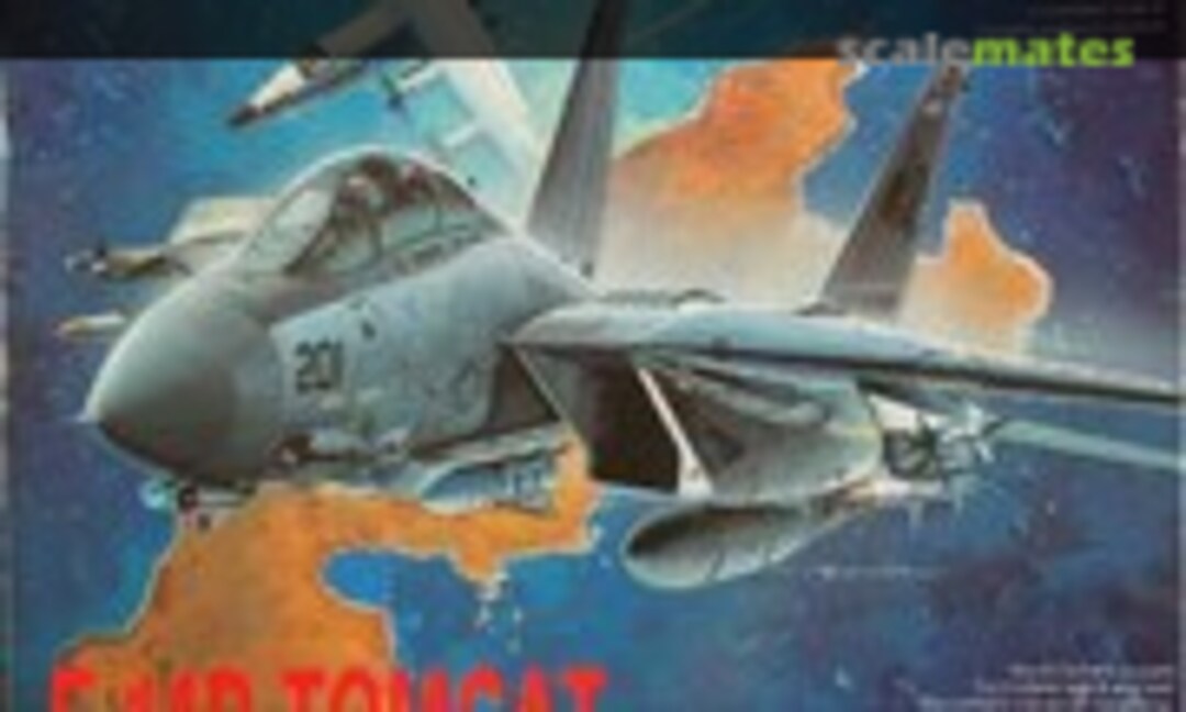 1:144 F-14D Tomcat VF-31 Tomcaters (Dragon 4559)