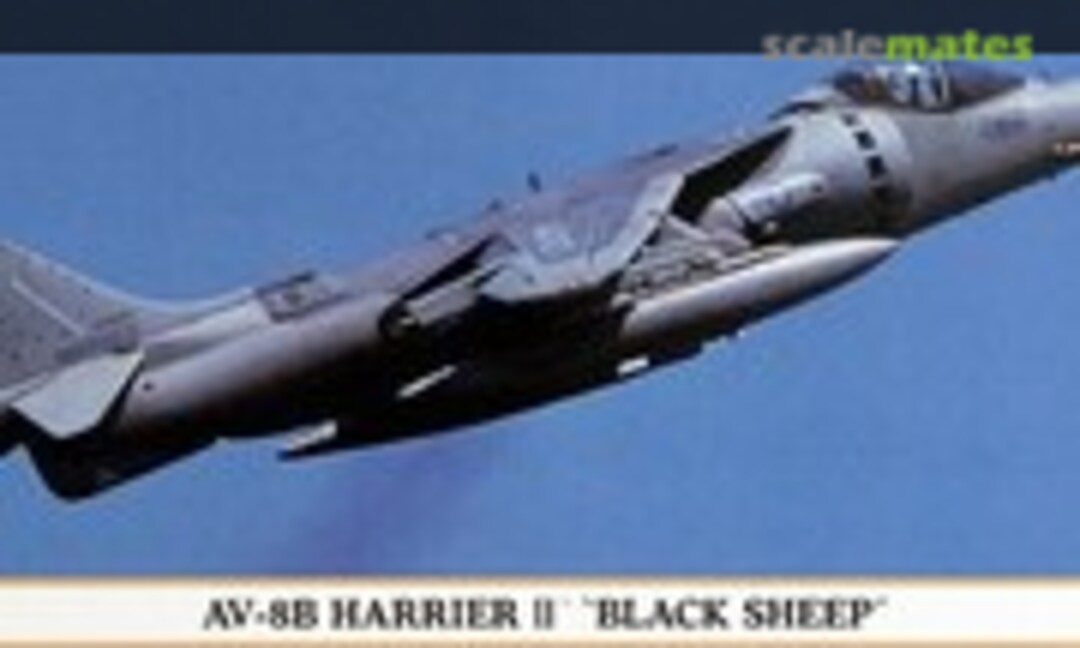 1:72 AV-8B Harrier II `Black Sheep´ (Hasegawa 00766)