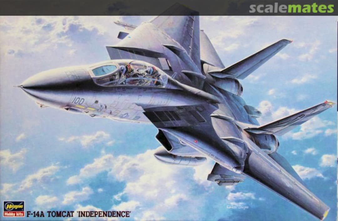 Boxart F-14A Tomcat `Independence´ 51561 Hasegawa