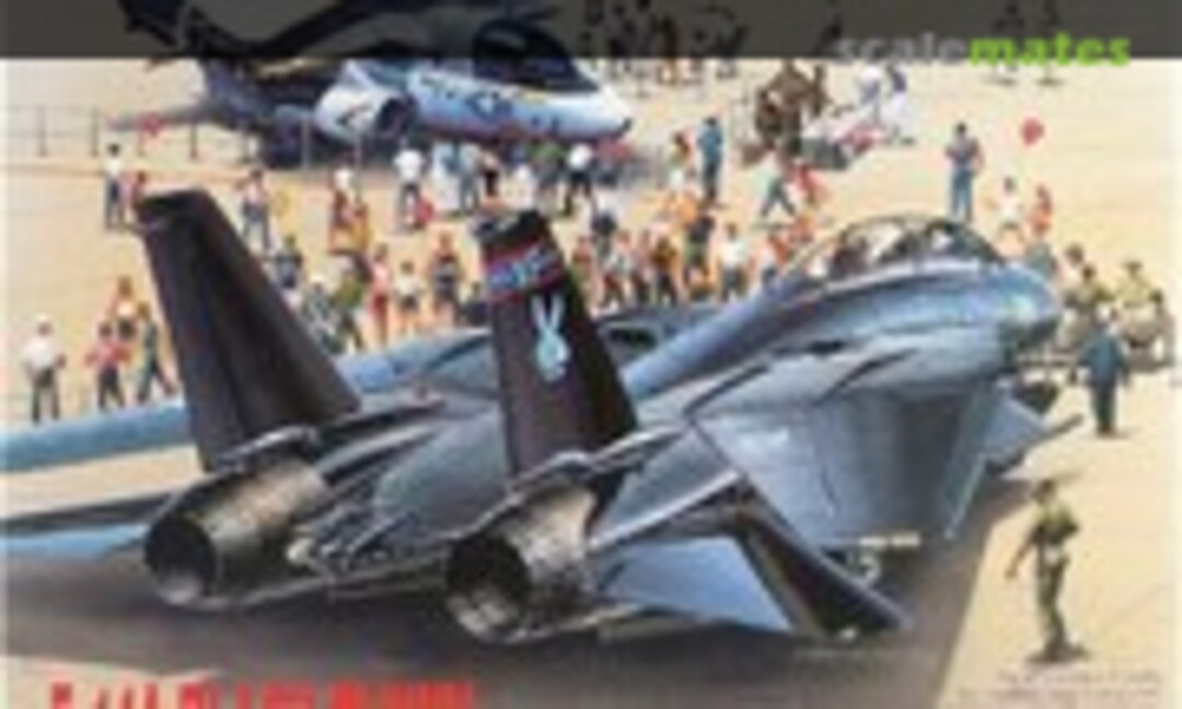 1:144 F-14A Black Bunny VX-4 Air Test &amp; Evaluation Squadron (Dragon 4547)