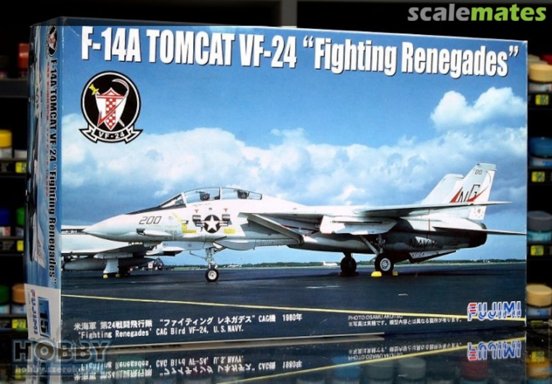 Boxart F-14A Tomcat 28019 Fujimi