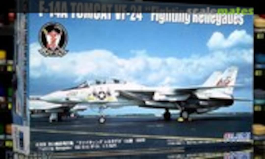 1:72 F-14A Tomcat (Fujimi 28019)