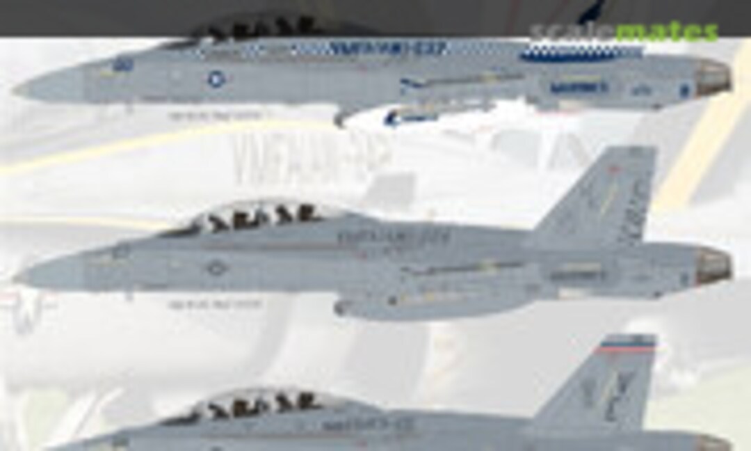 1:48 Leatherneck Legacy Hornets F/A-18C/D (Flying Leathernecks FL48023)