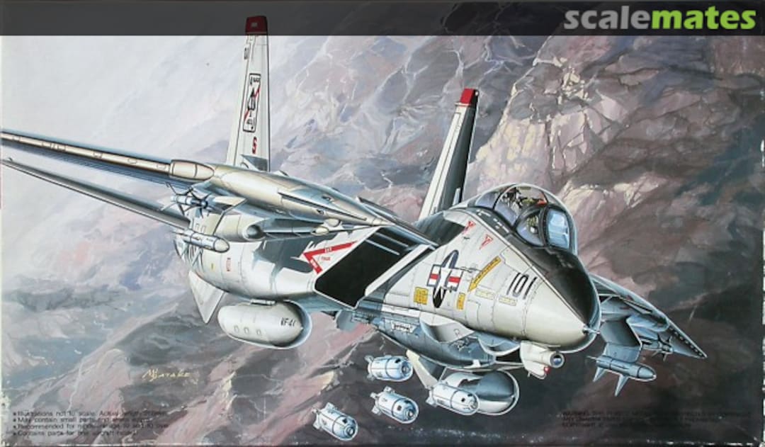 Boxart Grumman F-14A Bombcat 28008 Fujimi