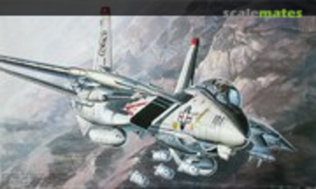 1:72 Grumman F-14A Bombcat (Fujimi 28008)