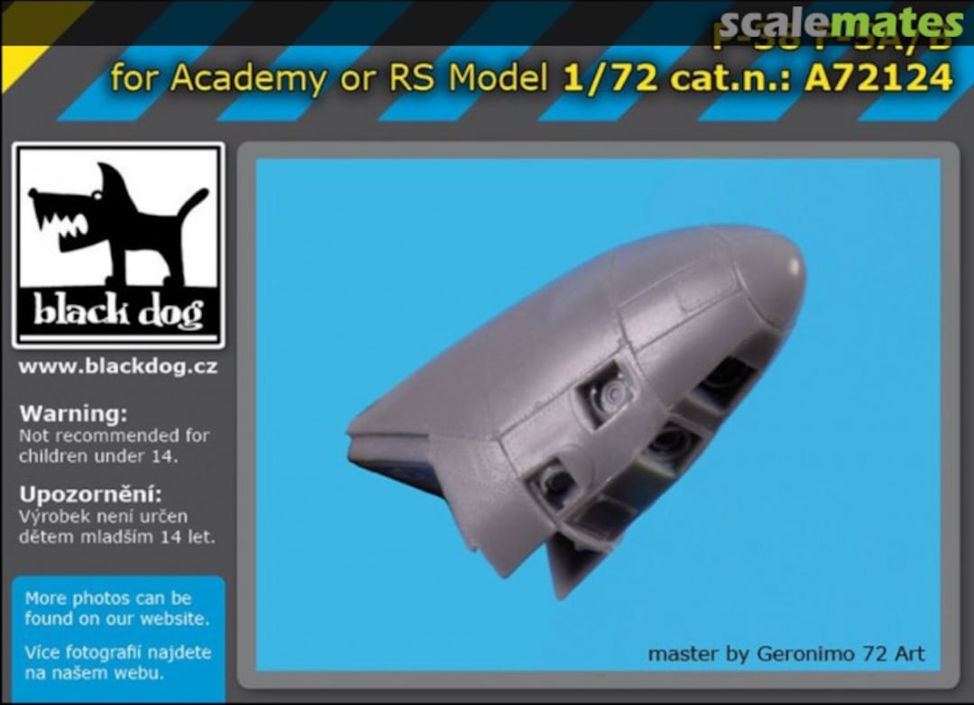 Boxart F-5A Lightning Reconnaissance Nose A72124 Black Dog