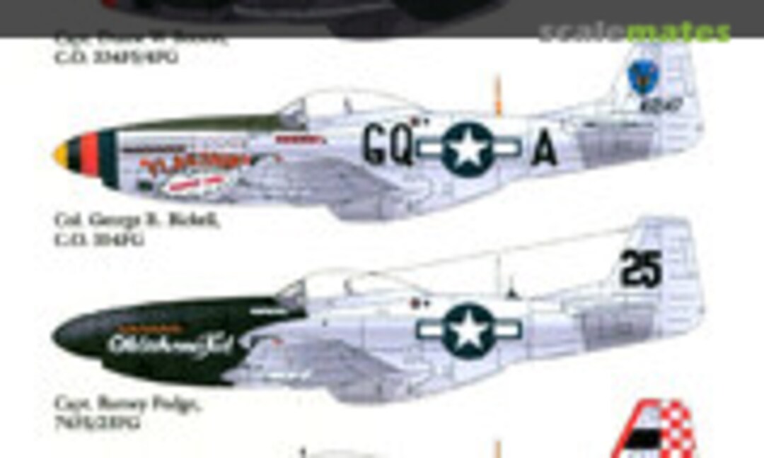 1:48 North American P-51 Mustang Pt. 3 (Lifelike Decals 48-047)