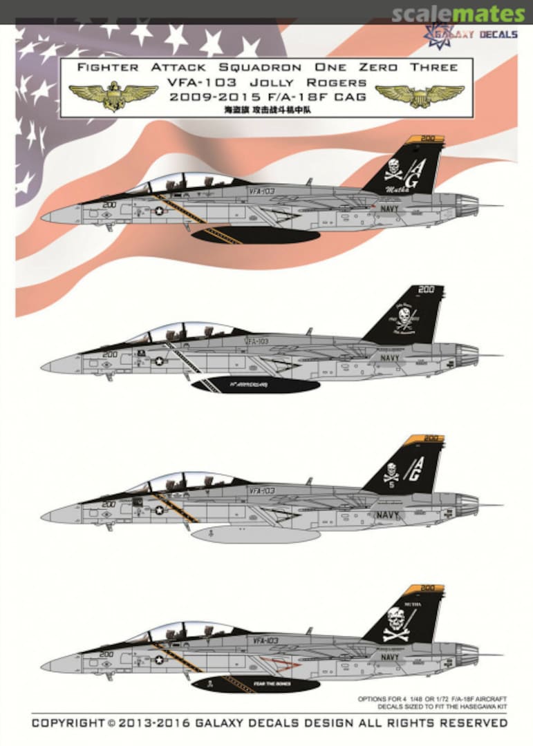 Boxart VFA-103 Jolly Rogers 2009-2015 F/A-18F CAG G48002 Galaxy Model