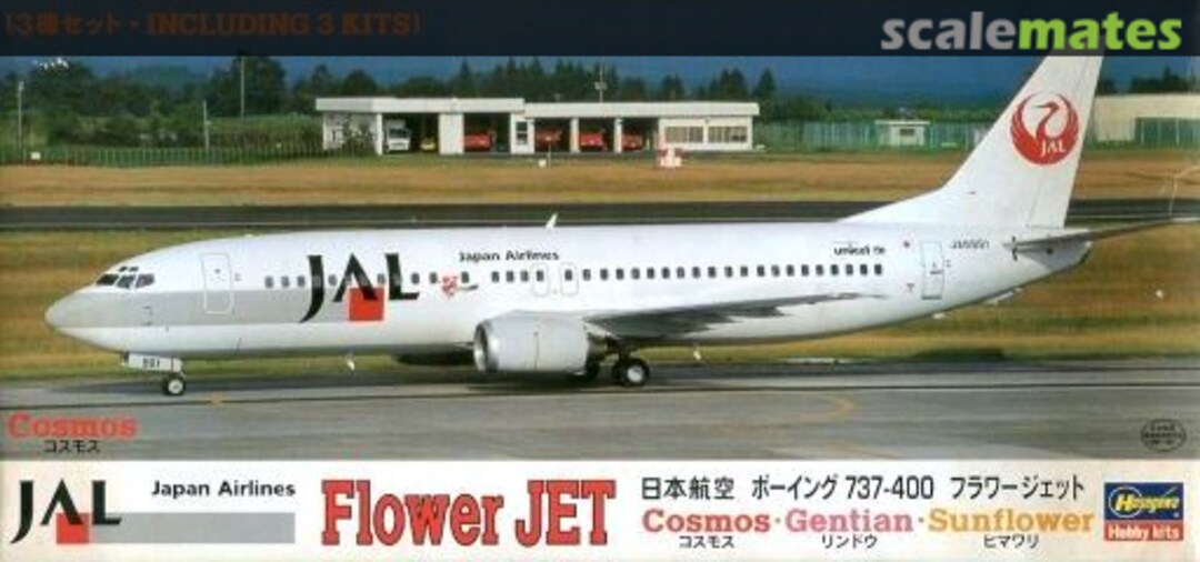 Boxart Boeing 737-400 Flower Jet 10180 Hasegawa