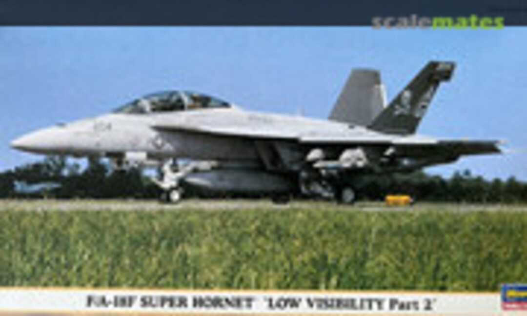 1:72 F/A-18F Super Hornet `Low Visibility Part 2´ (Hasegawa 00844)