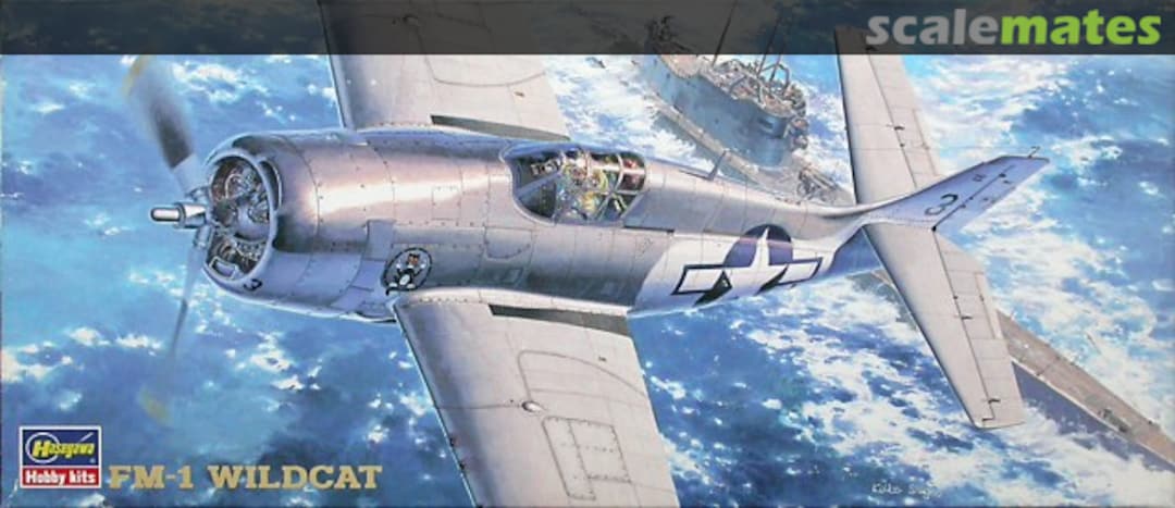 Boxart FM-1 Wildcat 51325 Hasegawa