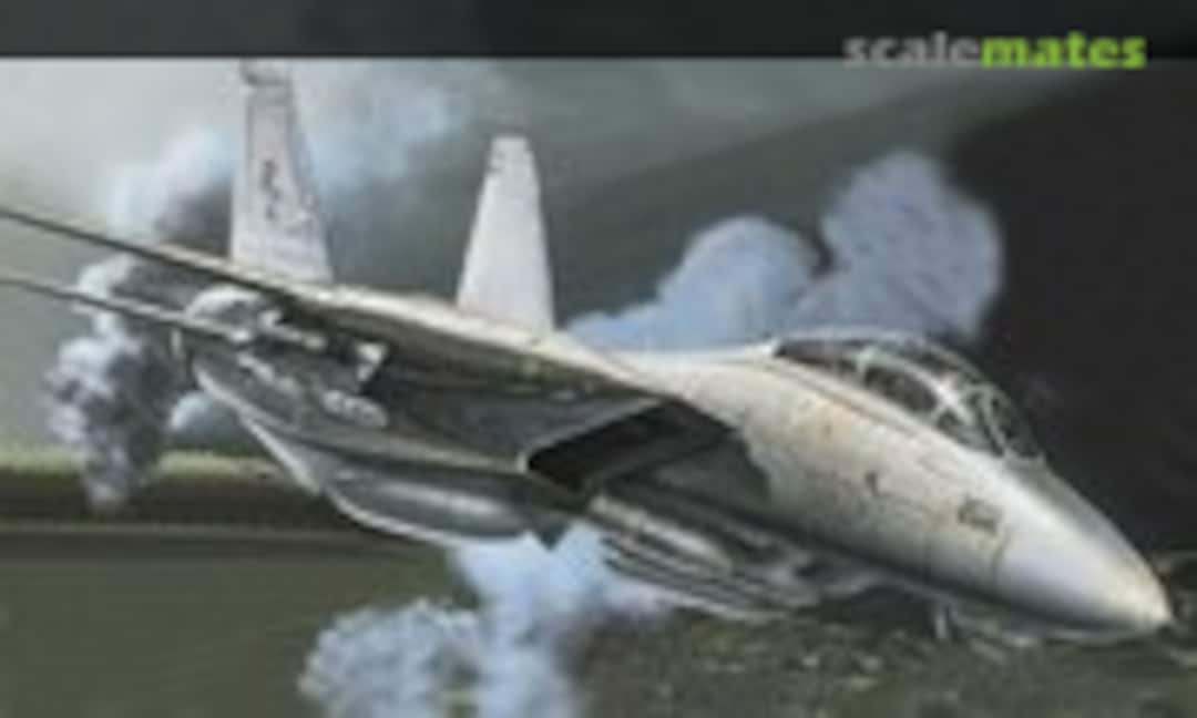 1:48 F-14 A Tomcat Plus (Italeri 0837)