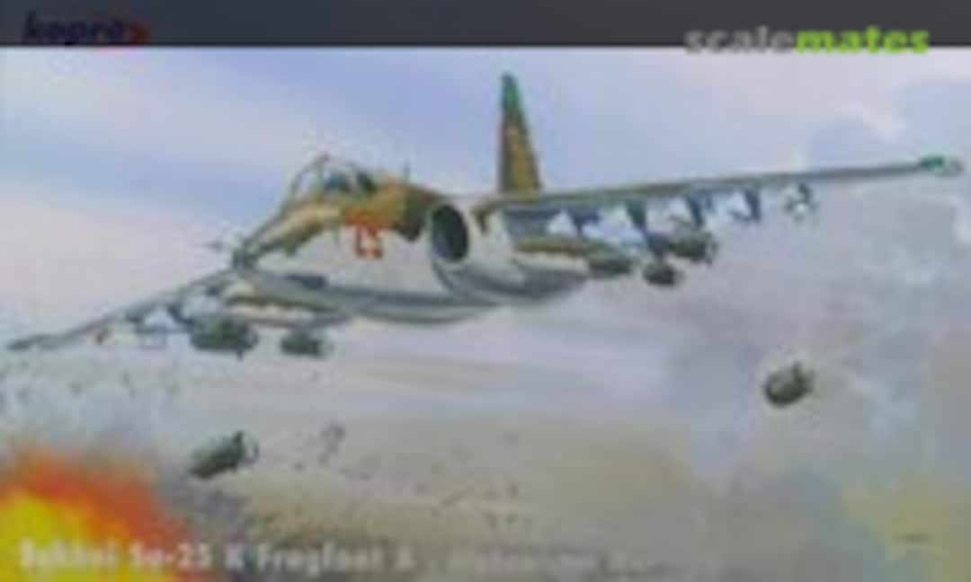 1:48 Su-25 Frogfoot (Kopro 3166)