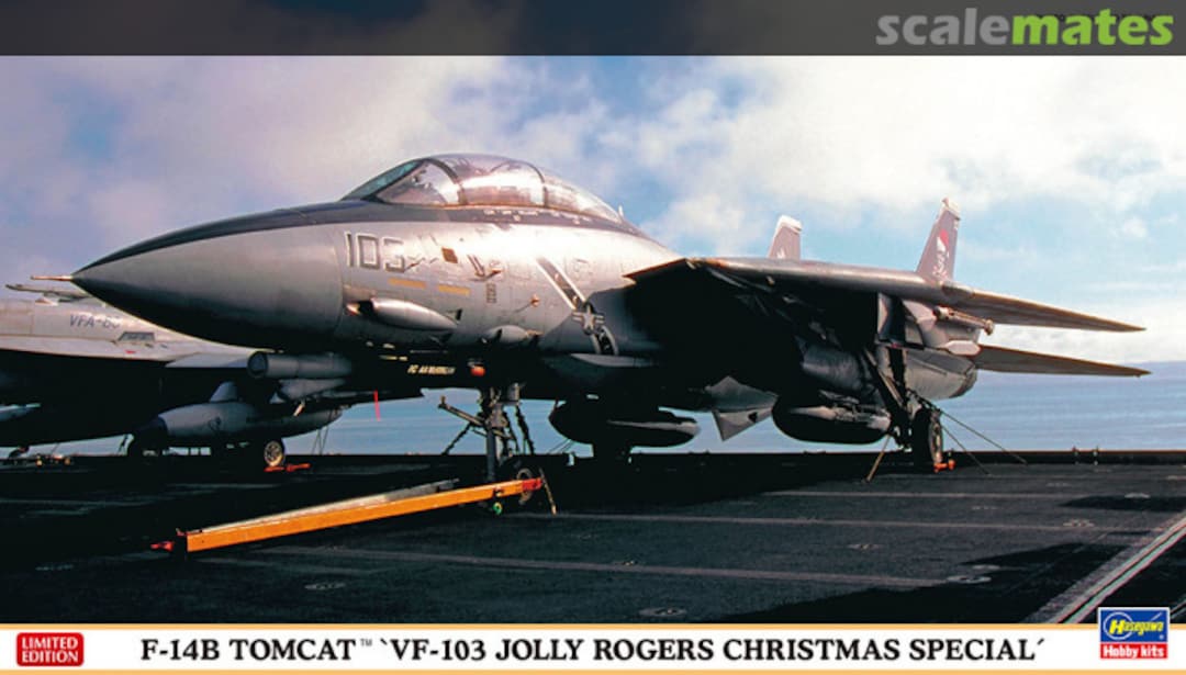 Boxart F-14B Tomcat `VF-103 Jolly Rogers Christmas Special´ 02391 Hasegawa