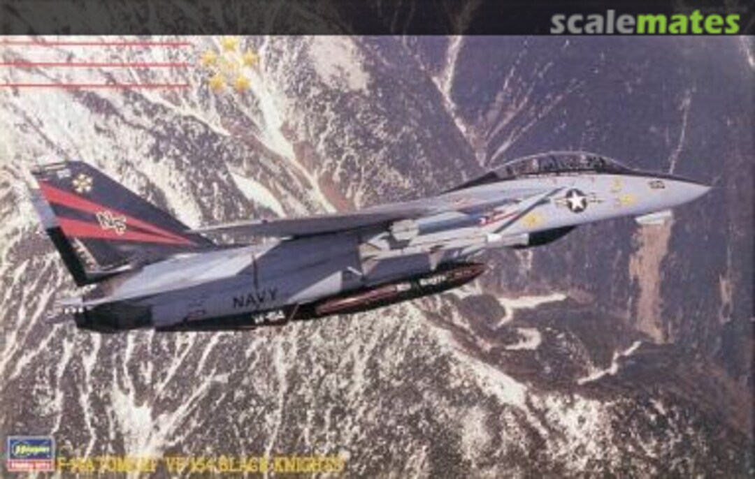 Boxart F-14A Tomcat `VF-154 Black Knights´ 07069 Hasegawa