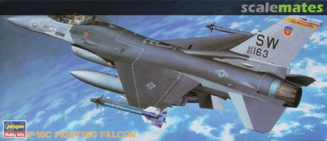 Boxart F-16C Fighting Falcon 02603 Hasegawa