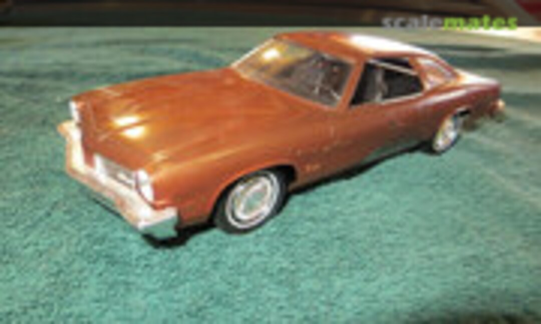 1:25 1974 Oldsmobile Cutlass (Jo-Han )