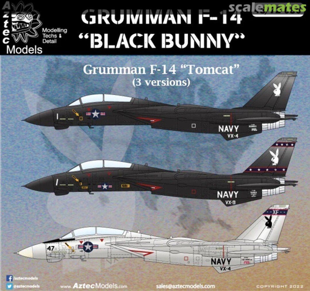 Boxart Grumman F-14 "Black Bunny" 48-086 Aztec Models