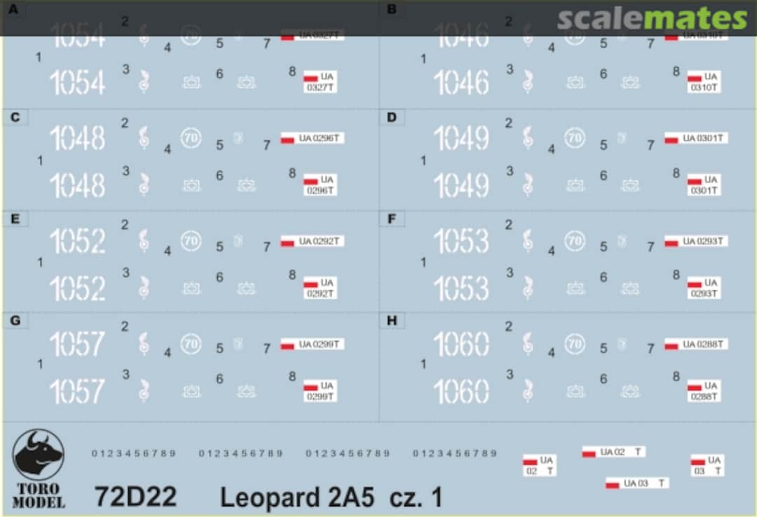 Boxart Leopard 2A5 in Polish service 72D22 ToRo Model