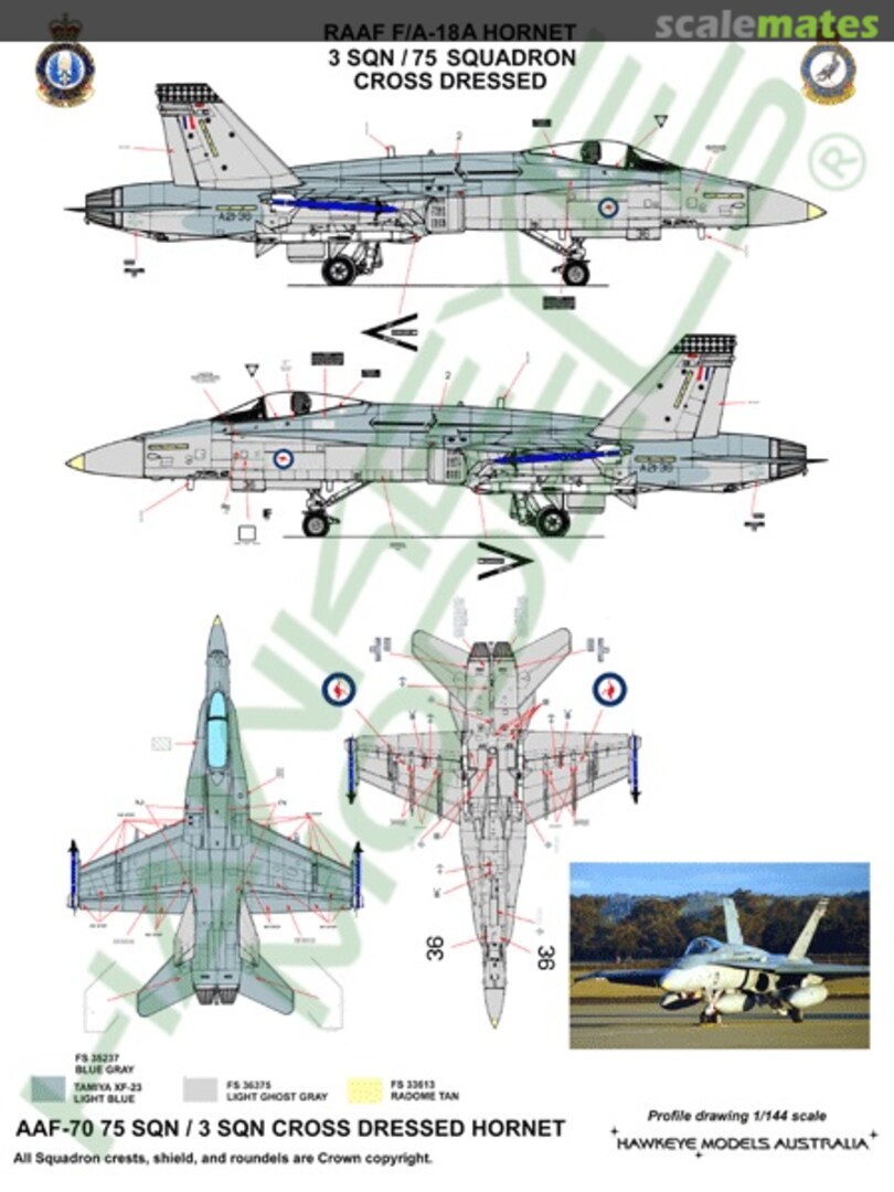 Boxart RAAF F/A-18A Hornet, 3 Sqn. / 75 Sqn. Cross Dressed AAF-070 Hawkeye Models