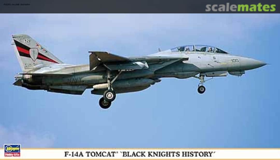 Boxart F-14A Tomcat `Black Knights History´ 00985 Hasegawa