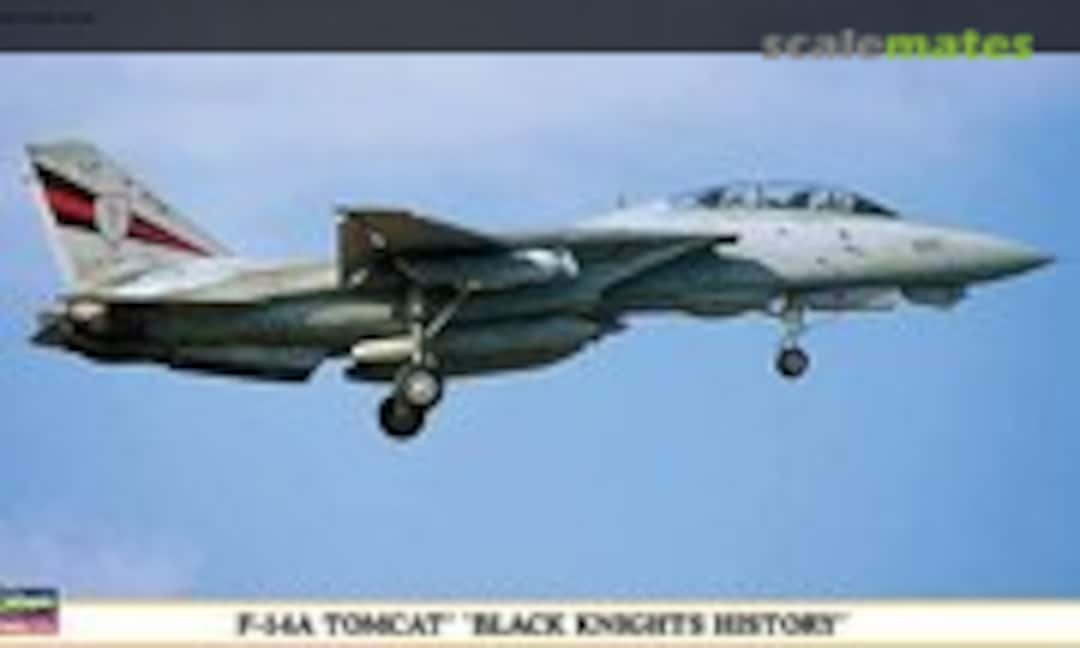 1:72 F-14A Tomcat `Black Knights History´ (Hasegawa 00985)