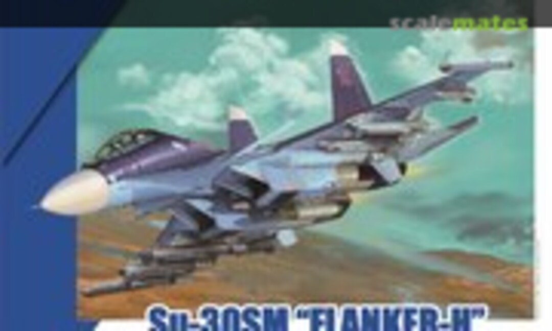 1:48 Su-30SM &quot;Flanker H&quot; (Great Wall Hobby L4830)