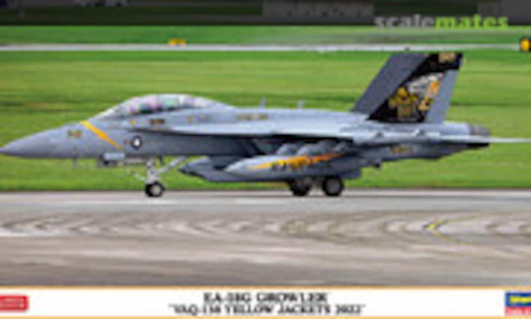 1:72 EA-18G Growler `VAQ-138 Yellow Jackets 2022´ (Hasegawa 02461)