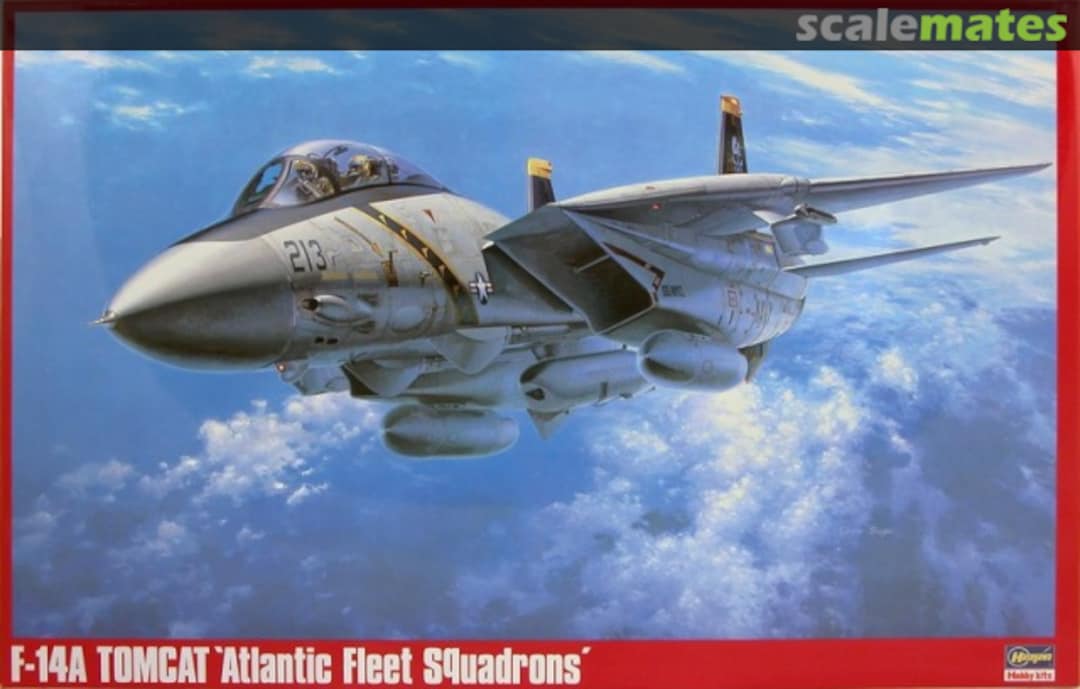 Boxart F-14A Tomcat `Atlantic Fleet Squadrons´ 07019 Hasegawa