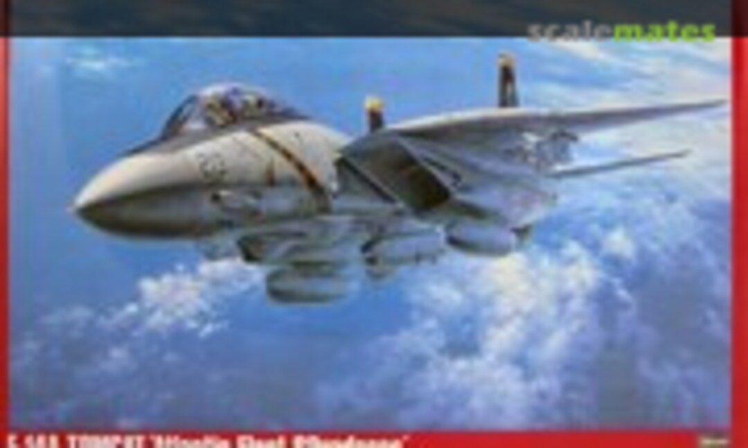 1:48 F-14A Tomcat `Atlantic Fleet Squadrons´ (Hasegawa 07019)