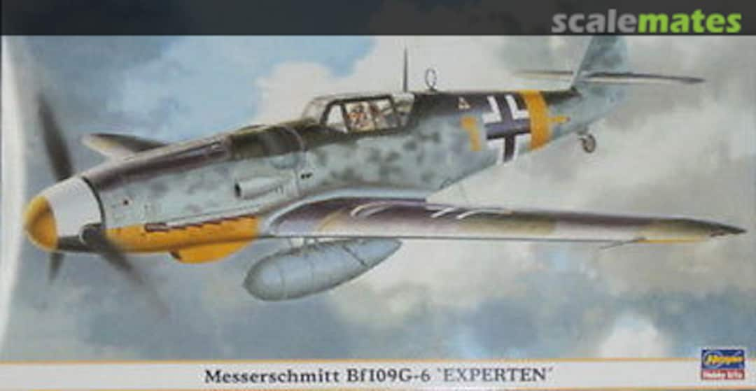 Boxart Messerschmitt Bf109G-6 `Experten´ 09401 Hasegawa