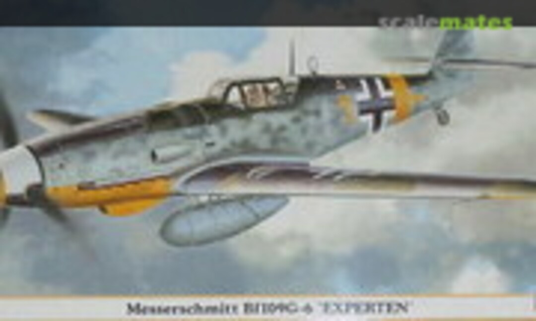 1:48 Messerschmitt Bf109G-6 `Experten´ (Hasegawa 09401)