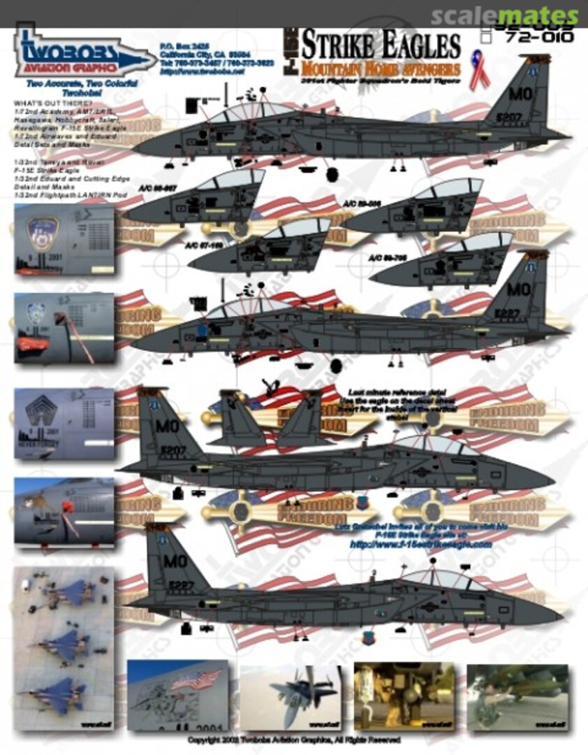 Boxart F-15E Mountain Home Avengers 32-009 TwoBobs Aviation Graphics