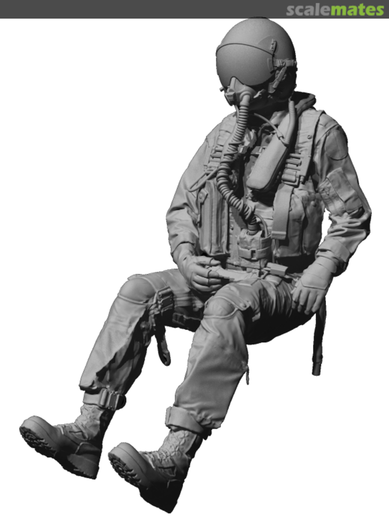 Boxart US Navy modern fighter pilot sitting 5, hands on sticks 1440014 Reed Oak Rubber Composites