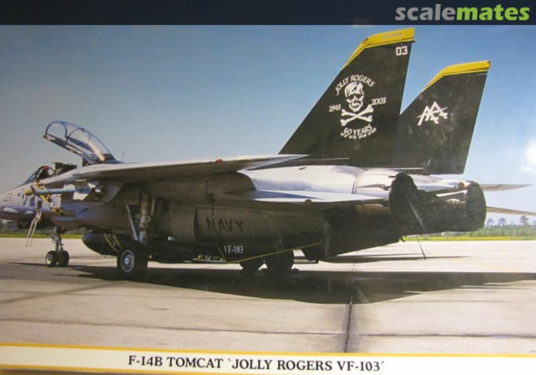 Boxart F-14B Tomcat `Jolly Rogers VF-103´ 09502 Hasegawa