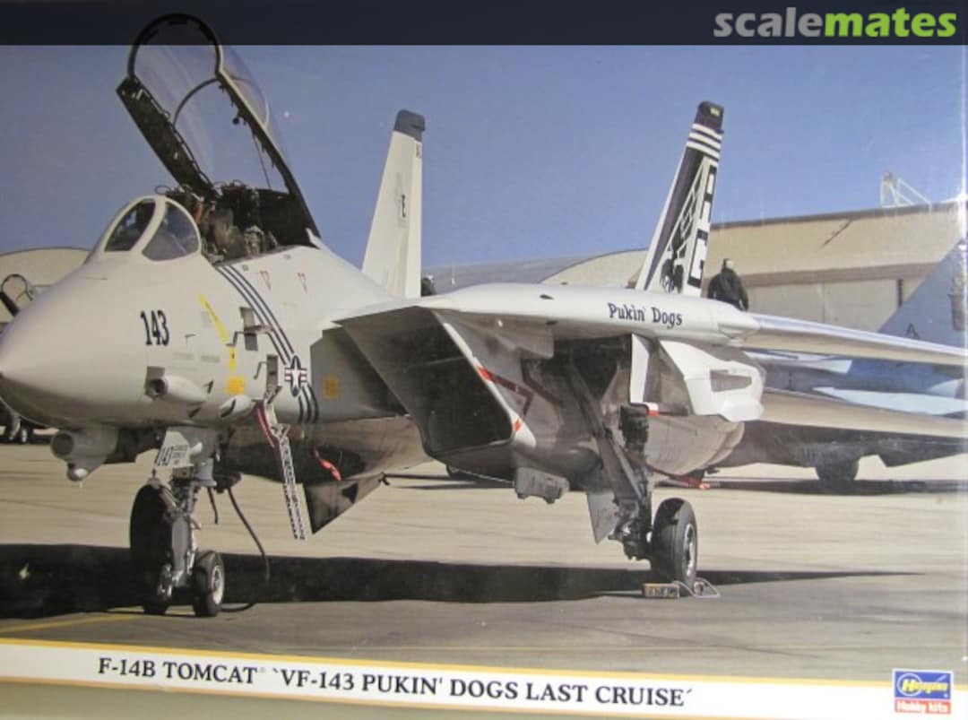 Boxart F-14B Tomcat `VF-143 Pukin Dogs Last Cruise´ 09697 Hasegawa