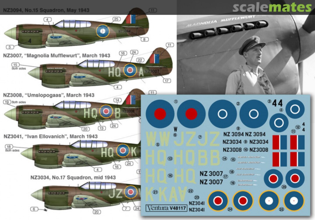 Boxart RNZAF Curtiss P-40E’s, Home Based & ex Tonga. V48117 Ventura Publications