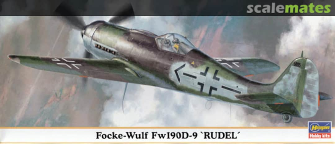 Boxart Focke Wulf Fw190D-9 'Rudel' 00623 Hasegawa