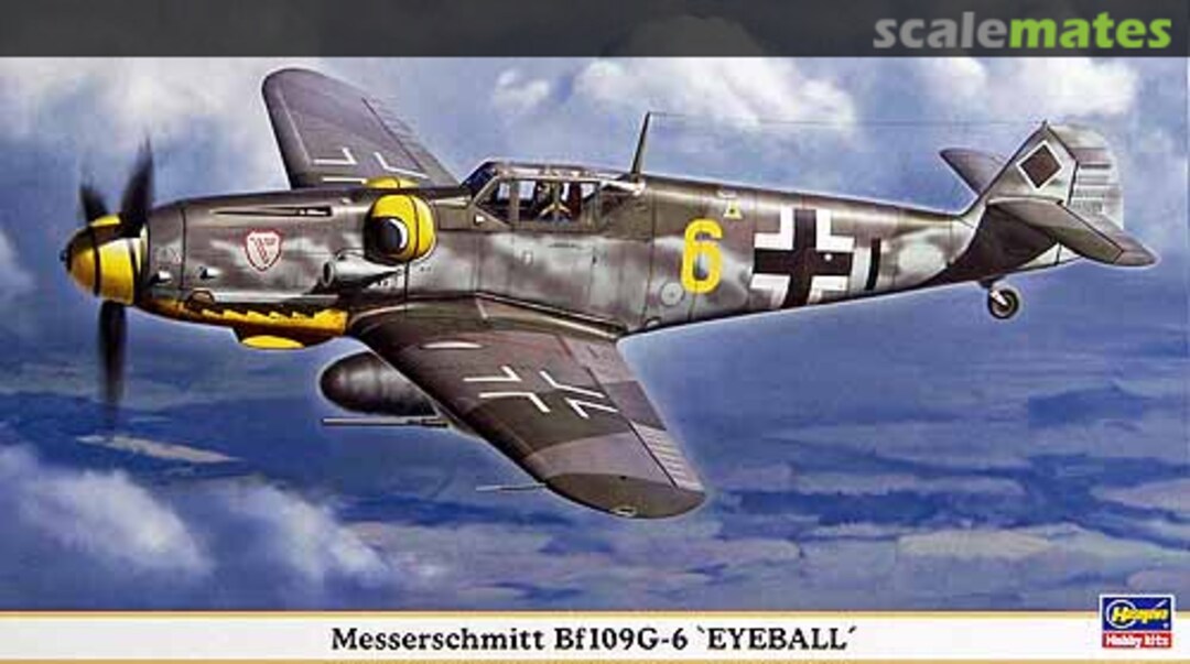 Boxart Messerschmitt Bf109G-6 `Eyeball´ 09739 Hasegawa