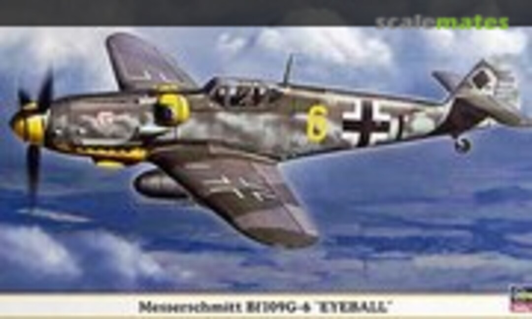 1:48 Messerschmitt Bf109G-6 `Eyeball´ (Hasegawa 09739)