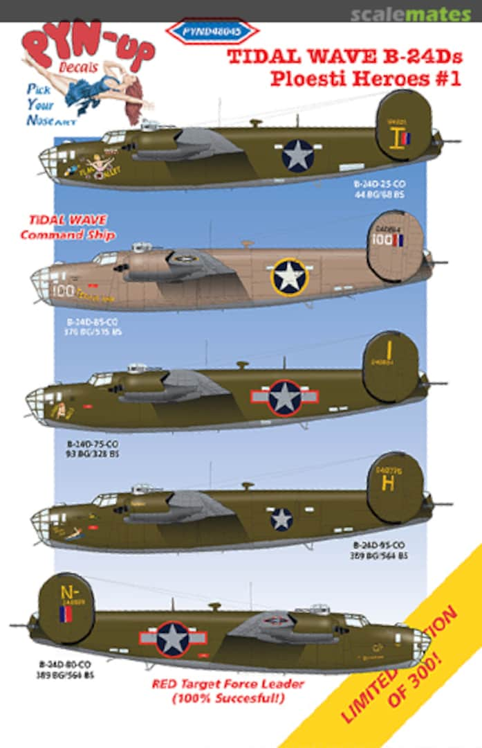 Boxart Tidal Wave B-24Ds: Ploesti Heroes #1 PYND48045 Pyn-Up Decals