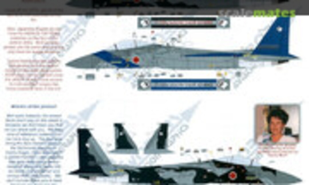 1:48 F-15DJ Aggressors (TwoBobs Aviation Graphics 48-008)